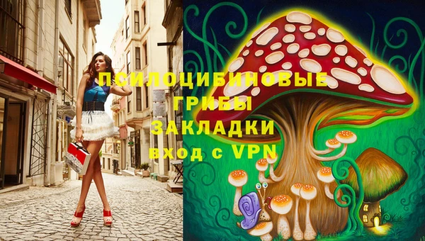 apvp Аркадак