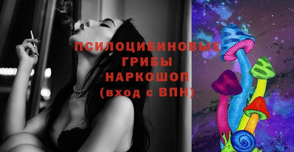 крисы Армянск